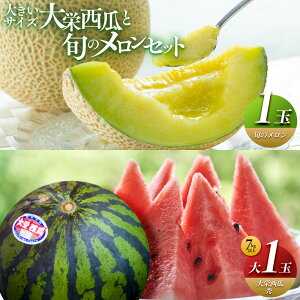 yӂ邳Ɣ[Łz_2026NYs\^ hZ G iG7kgȏj1ʂƏ{̃ Zbg 2026N6{`7{ɏ\ | Z XCJ  ʕ t[c  挧 