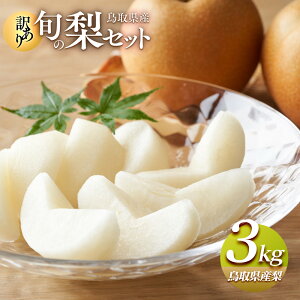 yӂ邳Ɣ[Łz949.y󂠂z挧Y{̗Zbg 3kg | ƒp s\  Ȃ ʕ t[c  挧 kh  lC 