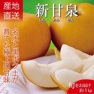yӂ邳Ɣ[ŁzVÐ@5kg