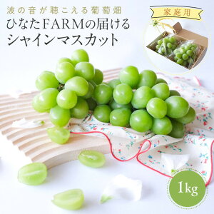 yӂ邳Ɣ[Łz1039.yƒpzg̉镒@ЂȂFARM VC}XJbg | VC}XJbg }XJbg ʕ t[c VC Ԃǂ  挧Y  kh 