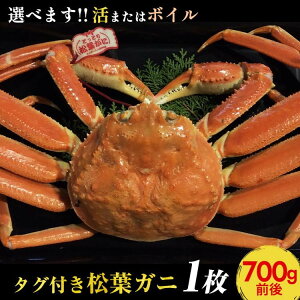 yӂ邳Ɣ[ŁzyIׂeʁzy܂̓{Cz ^Ot tKj 700g 800g 900~1kgO 2025N11{`2026N3{ɏ\s Jj It | I  tKj tI ^O