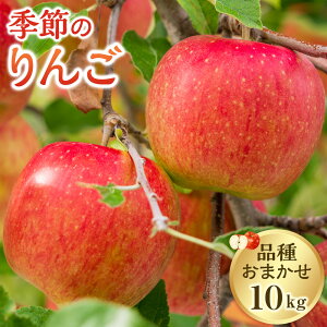 yӂ邳Ɣ[Łz331.yi͂܂zG߂̂ 10kg 2025N10{`10{ɏ\ |  ь t[c ʕ VN s\ ܂ G 挧 kh  