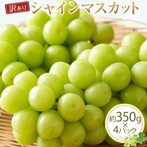 �y�ӂ邳�Ɣ[�Łz�y��s�\��z�y�󂠂�z�V���C���}�X�J�b�g 350g�O��×4�p�b�N ��2026�N8�����{���`9�����{���ɏ��������\�� | ��s�\�� �V���C���}�X�J�b�g �}�X�J�b�g ���� �Ԃǂ� �ʕ� �t