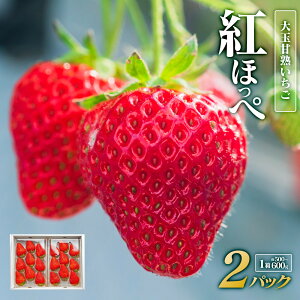 yӂ邳Ɣ[ŁzʊÏnwgق؁x 2pbN×1 2026N1{`2026N3{ɏ\ |   t[c ʕ VN Â  lC v~A 挧 kh