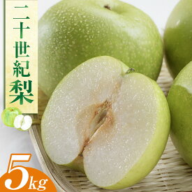 【ふるさと納税】278.二十世紀梨 5kg（JA）※2026年8月下旬～9月上旬頃に順次発送予定 | 先行予約 フルーツ 梨 なし ナシ 秋 旬 果物 くだもの 5kg 鳥取県 北栄町 おすすめ