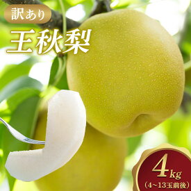 【ふるさと納税】【訳あり】王秋梨 4kg（4～13玉前後）※2025年10月下旬～12月上旬頃に順次発送予定 | 先行予約 梨 なし カロリー 果物 フルーツ くだもの 栄養 効能 ビタミン 鳥取県 鳥取 北栄町 おすすめ 人気 送料無料