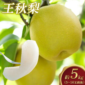 yӂ邳Ɣ[ŁzIׂeʁ  H 3kg 5kg 挧Y 2025N10{`12{ɏ\ | s\  Ȃ J[ ʕ t[c  h{ \ r^~ 挧 