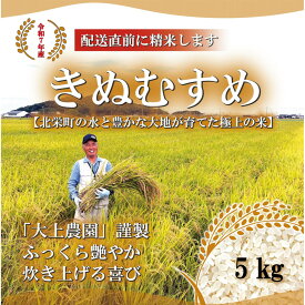 【ふるさと納税】1104.令和7年産　大上農園きぬむすめ精米 5kg | 米 お米 こめ 白米 きぬむすめ ご飯 ごはん 白ごはん 白ご飯 5kg おすすめ 人気 2025年産 令和7年 厳選 国産