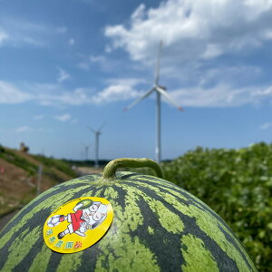 【ふるさと納税】1115.鳥取県産 大玉スイカ 訳あり 1玉 6-9キロ前後L-3L(こちらの返礼品は、大栄西瓜ではありません)