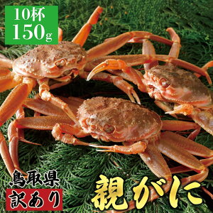 yӂ邳Ɣ[ŁzeʂIׂy2025N11z挧Y  e pyZRKjziȂ܁jy󂠂z100g܂150g 5`10t | I  i}  ZRKj 󂠂 ƒp 挧Y kh 