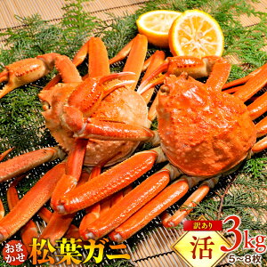 yӂ邳Ɣ[ŁzyIׂ܂I܂̓{Cz󂠂 tKj܂3kgi5`8j2025N11{`2026N3{ɏ\聦ws | I  tKj tI 󂠂 ƒ