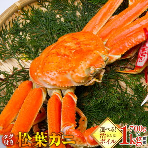 yӂ邳Ɣ[ŁzyIׂeʁzy܂̓{Cz ^Ot tKj 700g 800g 900~1kgO 2025N11{`2026N3{ɏ\s Jj It | I  tKj tI ^O