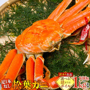 yӂ邳Ɣ[ŁzyIׂI܂̓{Cz1{Ȃ 󂠂 tKj 1i900g`1kgOjywsz2025N11{`2026N3{ɏ\ | I  tKj tI 