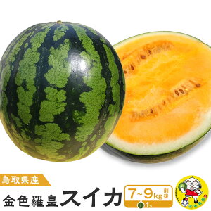 yӂ邳Ɣ[Łz挧Y FcXCJ 1 7-9LOi̕ԗíAhZł͂܂j | FcZ Z XCJ ʕ t[c 挧 kh  lC VN 1 