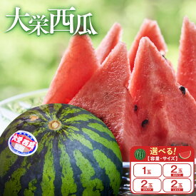 【ふるさと納税】998.【選べる容量・サイズ】＼2026年産先行予約／ 大栄西瓜【1玉/2玉大/2玉M/2玉L】※2026年6月中旬～7月中旬頃に順次発送予定 | 西瓜 スイカ 果物 フルーツ くだもの 鳥取県 北栄町 おすすめ 人気 送料無料