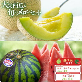 【ふるさと納税】1000.＜2026年産先行予約＞　【選べる容量】大栄西瓜 【秀1玉と旬のメロン セット/大（秀7kg以上）1玉と旬のメロンセット】※6月中旬～7月中旬頃に順次発送予定 | 西瓜 スイカ 果物 フルーツ くだもの 鳥取県 北栄町 おすすめ 人気 送料無料