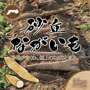 �y�ӂ邳�Ɣ[�Łz1112.���u�Ȃ�����1kg | ���� �Ȃ����� ��� �V�N �Ƃ�� ���挧 �k�h�� �������� �l�C