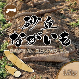 【ふるさと納税】1113.砂丘ながいも1.8kg | 長芋 ながいも 野菜 新鮮 とろろ 鳥取県 北栄町 おすすめ 人気