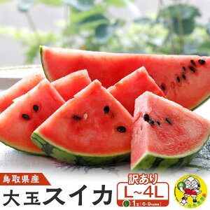 �y�ӂ邳�Ɣ[�Łz1115.���挧�Y ��ʃX�C�J �󂠂� 1�� 6-9�L���O��L-4L�i������̕ԗ�i�́A��h���Z�ł͂���܂���j | ���Z �X�C�J �ʕ� �t���[�c ��� ���挧 �k�h�� �������� �l�C �V�N ��