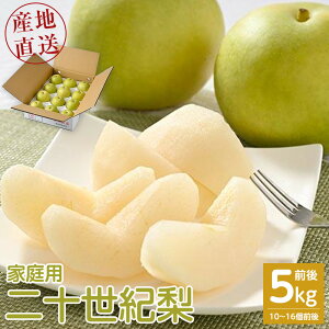 �y�ӂ邳�Ɣ[�Łz�y��s�\��z�y�ƒ�p�z��\���I�� 5kg�O�� (10�`16�O��) ���挧�Y �������w��s�� ��2026�N8�����{�`9�����{���ɏ��������\�� | �� �Ȃ� �󂠂� 5kg �V�N 2026�N �ߘa8�N ��