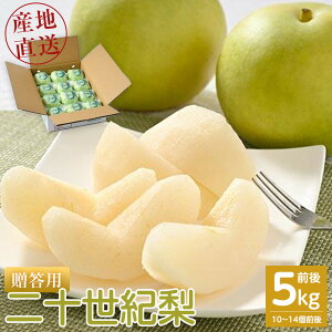 �y�ӂ邳�Ɣ[�Łz�y��s�\��z�y�����p�z ��\���I�� 5kg�O�� (10�`14�O��) ���挧�Y �������w��s��2026�N8�����{�`9�����{���ɏ��������\�� | �� �Ȃ� �M�t�g 5kg �V�N 2026�N �ߘa8�N ��