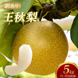 �y�ӂ邳�Ɣ[�Łz�y2026�N1���������z�y�󂠂�z���H�� 5kg�i5�`16�ʑO��j | �� �Ȃ� ���H �������イ �ƒ�p ��A�� 5kg �ʕ� �t���[�c �������� �l�C ���挧 �k�h�� �ߘa8�N����