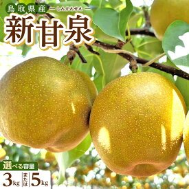【ふるさと納税】＜選べる容量＞【2026年度発送先行予約】数量限定 新甘泉 3kg又は5kg | 梨 なし 新甘泉 しんかんせん 果物 フルーツ くだもの 5キロ 鳥取県産 北栄町 おすすめ 人気