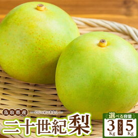 【ふるさと納税】＜選べる容量＞先行予約【数量限定】 二十世紀梨 3kg/5kg | 梨 なし ナシ 二十世紀 鳥取県産 果物 くだもの フルーツ 北栄町 おすすめ