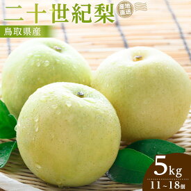 【ふるさと納税】【2026年9月発送】二十世紀梨 5kg | 先行予約 梨 なし 果物 フルーツ 5キロ 鳥取県産 北栄町 おすすめ 人気