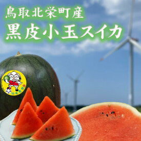 【ふるさと納税】【先行予約】黒皮小玉スイカ 鳥取県北栄町産 農家指定（こちらの返礼品は、大栄西瓜ではありません）