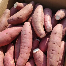 【ふるさと納税】【訳あり】ねっとり甘い 紅はるか 1.5kg