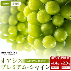 【ふるさと納税】【容量が選べる】【先行予約】シャインマスカット 訳あり 家庭用 鳥取砂丘地産 1.4kg（350g×4パック）又は2.8kg（350g×8パック） ※2026年8月下旬～10月下旬頃に順次発送予定 | オアシスプレミアム シャインマスカット 家庭用 鳥取県産