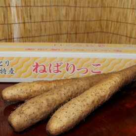 【ふるさと納税】ねばりっこ　3〜4本（通年）