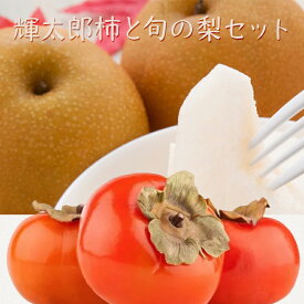 【ふるさと納税】輝太郎柿と旬の梨セット ※2022年10月頃より順次発送予定