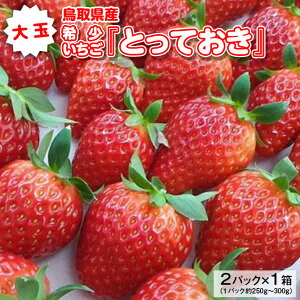 返礼品画像