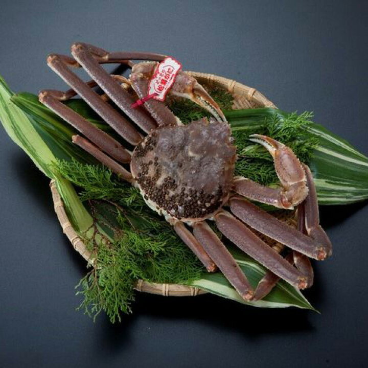 ふるさと納税 鳥取市 足1本なしボイル松葉ガニ 中650g 訳あり 通販でクリスマス ふるさと納税 鳥取市 足1本なしボイル松葉ガニ 中650g 訳あり 通販でクリスマス
