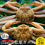 【先行予約】【活き】訳あり ご自宅用日本海獲れたて松葉ガニ 大　800?940g前後　2枚◇ ≪かに カニ 蟹 ズワイガニ≫※2024年11月上旬～2025年3月上旬頃に順次発送予定