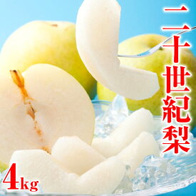 【ふるさと納税】【先行予約】二十世紀梨　秀　約4Kg　L～5L　9〜18玉前後◇※2024年8月下旬～9月下旬頃に順次発送予定