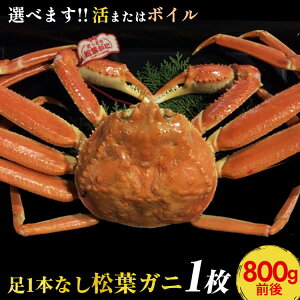 yӂ邳Ɣ[Łz693.ytzyIׂ܂I܂̓{Cz1{Ȃ 󂠂 tKj 1i800gOjws2025N11{珇\ | I  tKj tI 