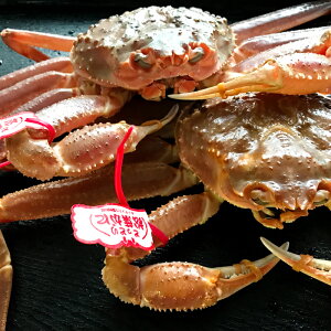 �y�ӂ邳�Ɣ[�Łz�y�����z�^�O�t�����t�K�j�@���@2���@TS28