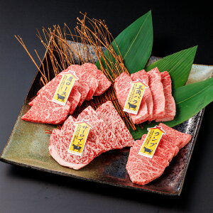 【ふるさと納税】【A5】鳥取和牛焼肉食べ比べセット 400g KA40