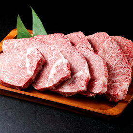 【ふるさと納税】【A5】鳥取和牛ヒレステーキ 10枚　KA36