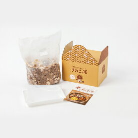 【ふるさと納税】おうちで楽しむ　しいたけ栽培キット　きのこっ家 きのこ しいたけ 栽培 キット 菌床 1個