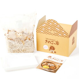 【ふるさと納税】おうちで楽しむ　きくらげ栽培キット　きのこっ家 きのこ きくらげ 木耳 栽培 キット 菌床 1個