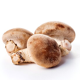 【ふるさと納税】オーガニック菌床しいたけ200g×6袋 椎茸 オーガニック 菌床 野菜 きのこ キノコ