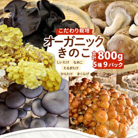 【ふるさと納税】オーガニックきのこバラエティセット約1.5kg（5種13パック入）　HO03
