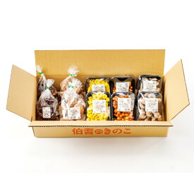 【ふるさと納税】プロが厳選！オーガニックきのこ5種盛り(1.5kg) しいたけ きくらげ ひらたけ たもぎたけ なめこ 黒あわびたけ やまぶしたけ おまかせ 厳選