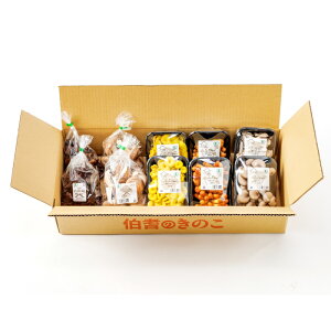 yӂ邳Ɣ[ŁzvIII[KjbN̂5퐷(1.5kg)  炰 Ђ炽  Ȃ߂ т ܂Ԃ ܂ I