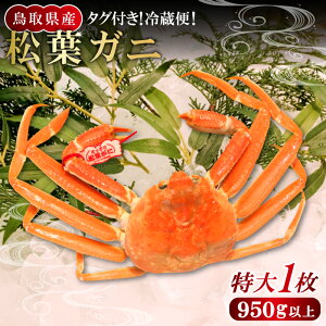 yӂ邳Ɣ[Łz挧Y ^OttKj @KI92