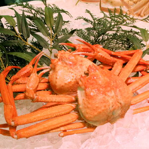 yӂ邳Ɣ[Łz挧Y l䥂ōgYCKjA 2@KI94